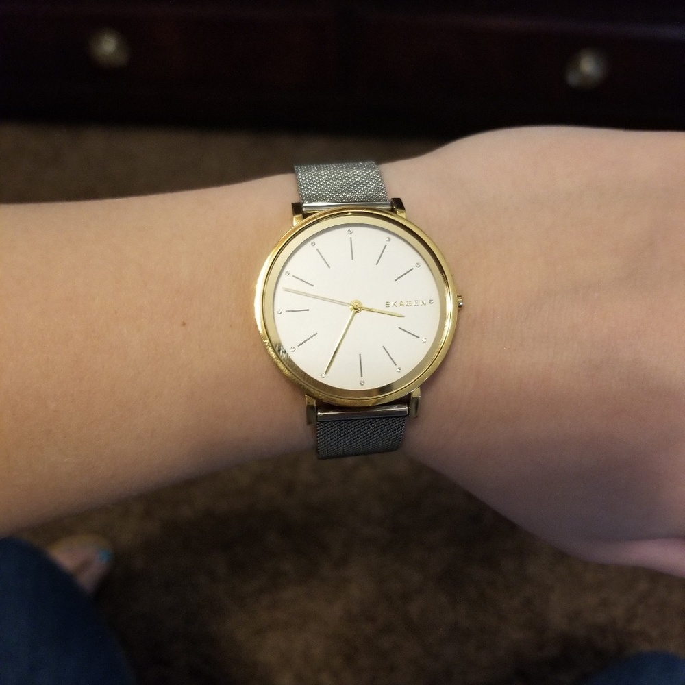 Skagen Silver and Gold Watch